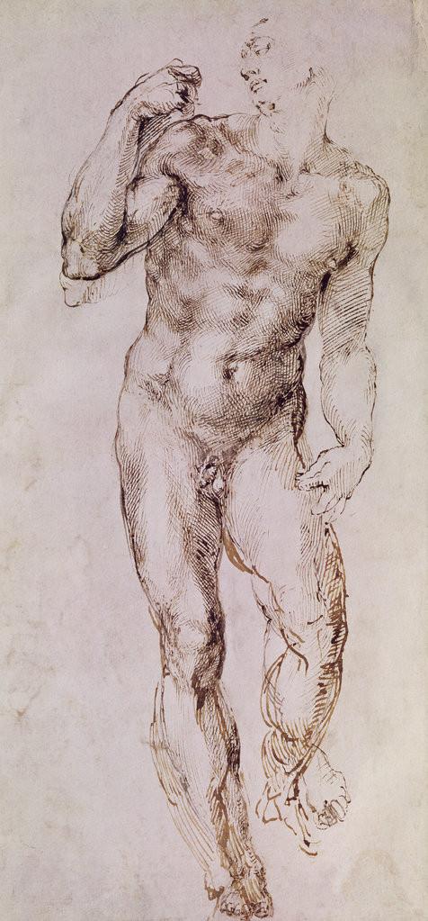 476x1023 Sketch Of David With His Sling Posters Amp Prints By Michelangelo - Michelangelo David Sketch