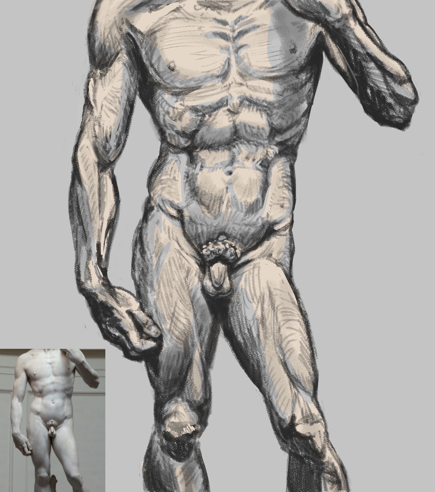 1400x1584 Soule Designs - Michelangelo David Sketch