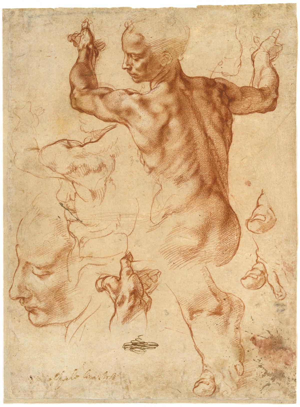 1200x1624 Michelangelo The Albertina Museum Vienna - Michelangelo Sketches
