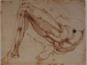 300x225 Anatomy Michelangelo Drawing Blood - Michelangelo Sketches