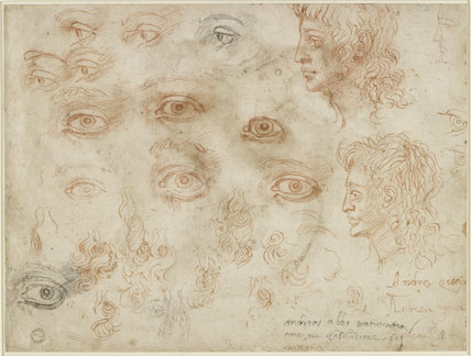 428x324 Verso Various Sketches Of Eyes And Head Profiles By Michelangelo - Michelangelo Sketches
