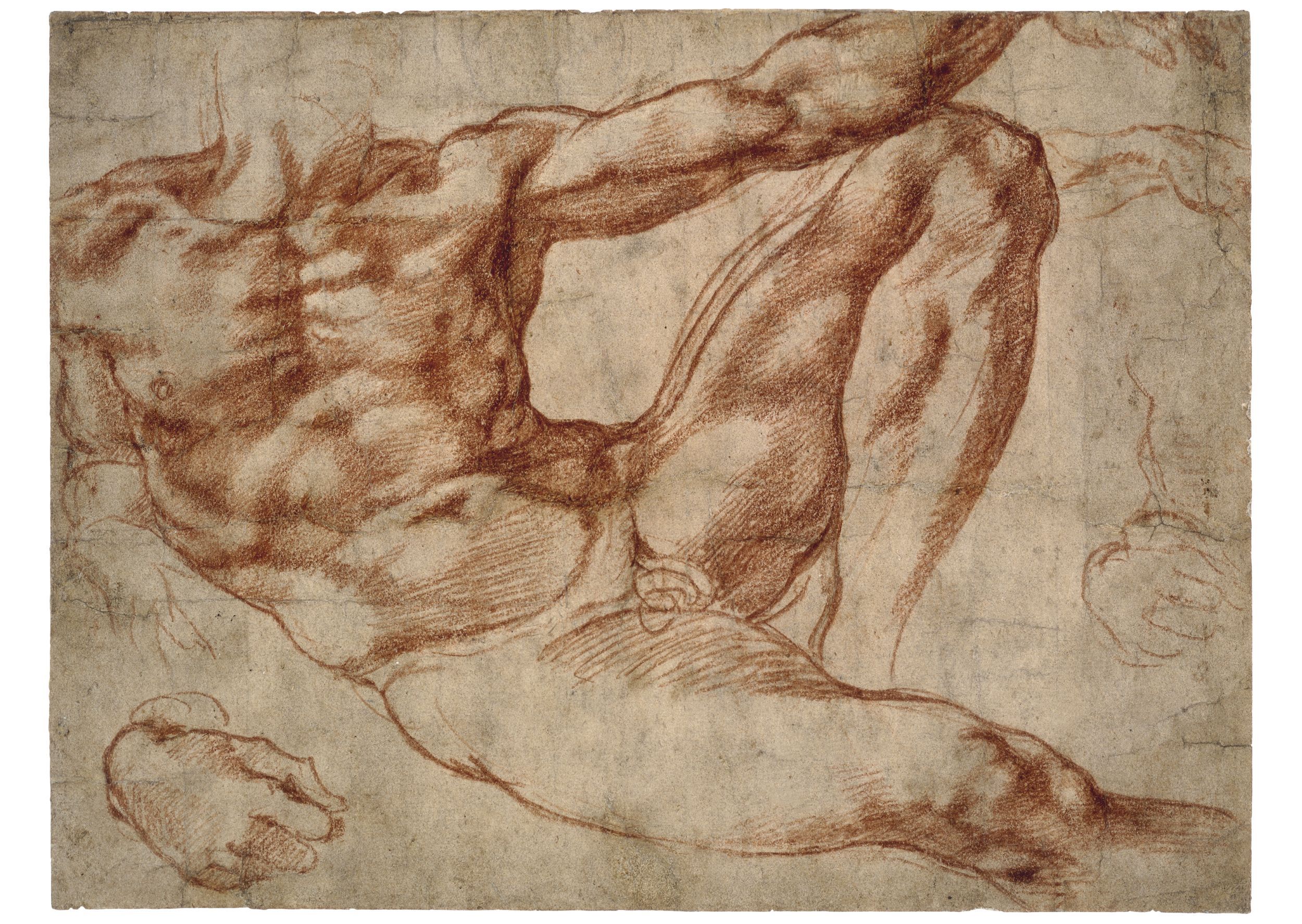 2500x1775 Michelangelo Drawings Images - Michelangelo Sketches