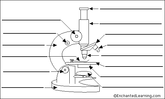 533x320 Label Microscope Diagram - Microscope Parts Sketch