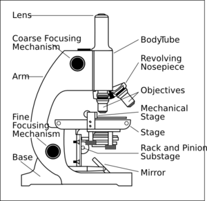 300x291 Microscope With Labels Clip Art - Microscope Parts Sketch