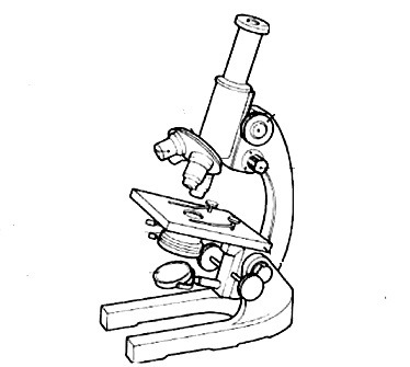 Microscope Parts Sketch at PaintingValley.com | Explore collection of ...