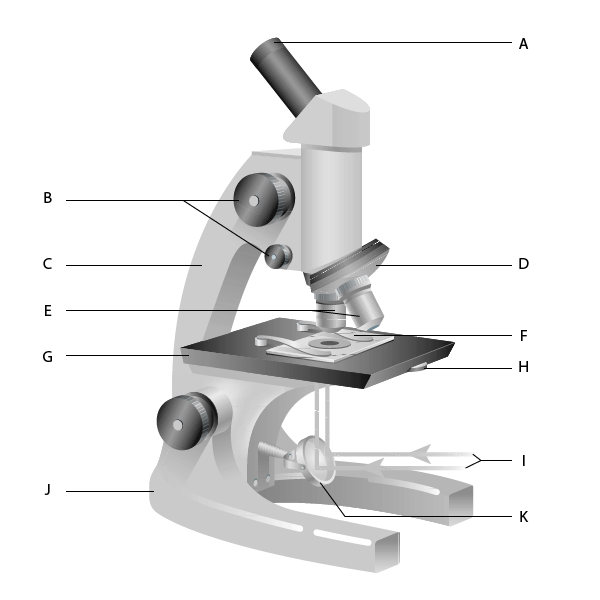 microscope-parts-sketch-at-paintingvalley-explore-collection-of