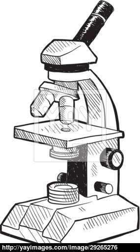 285x512 Laboratory Microscope Sketch Vector - Microscope Sketch