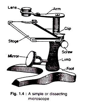 283x338 Microscopes, Drawing Appliances And Measurement - Microscope Sketch