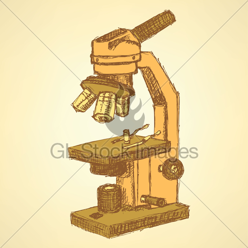 500x500 Sketch Microscope In Vintage Style Gl Stock Images - Microscope Sketch