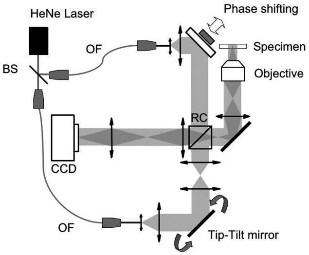 635x524 Sketch Of Our Tomographic Microscope In Reflection (Bs Beam - Microscope Sketch
