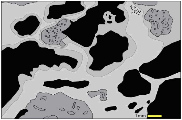 592x393 The Sketch Of Avalanche Breccia Under The Microscope Download - Microscope Sketch