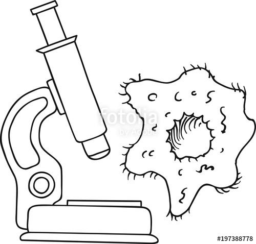 500x478 Hand Drawn Doodle Sketch Line Art Vector Illustration Of Optical - Microscope Sketch Template