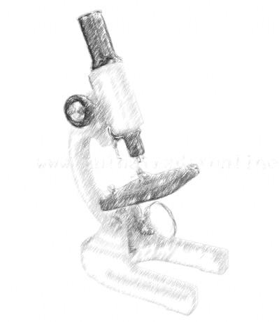 399x459 Microscope Diagram In Pencil - Microscope Sketch Template
