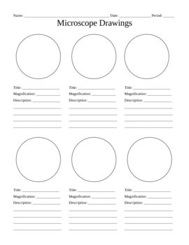 270x350 Microscope Drawings Handout Cells Science, Biology - Microscope Sketch Template