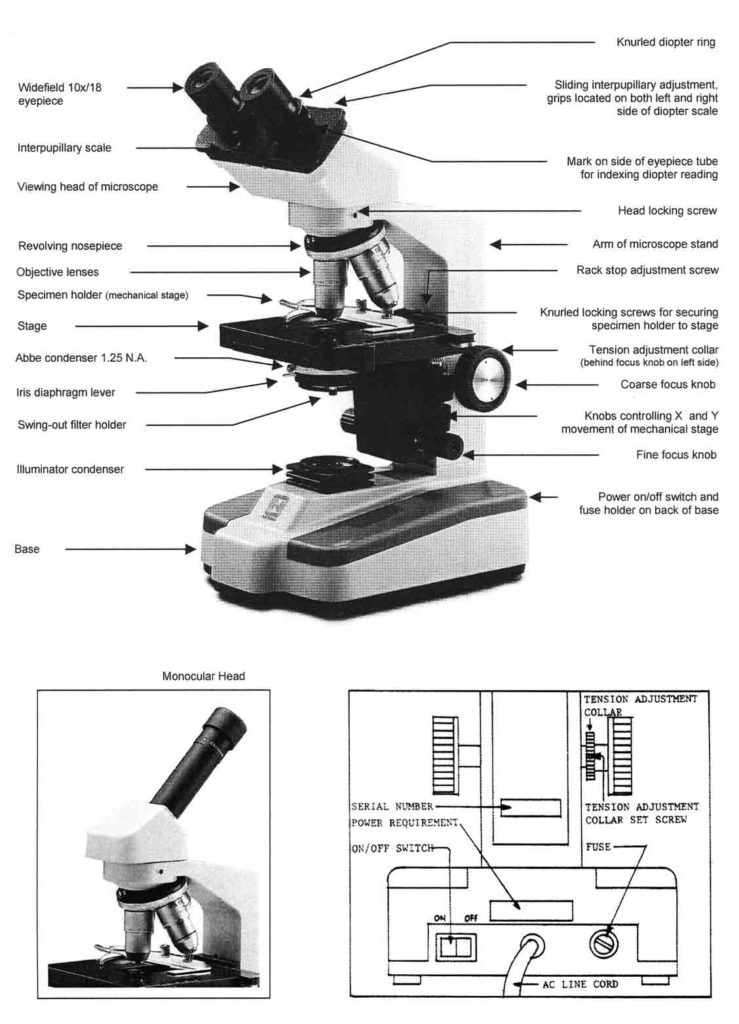 739x1024 Binocular Microscope Diagram - Microscope Sketch Template