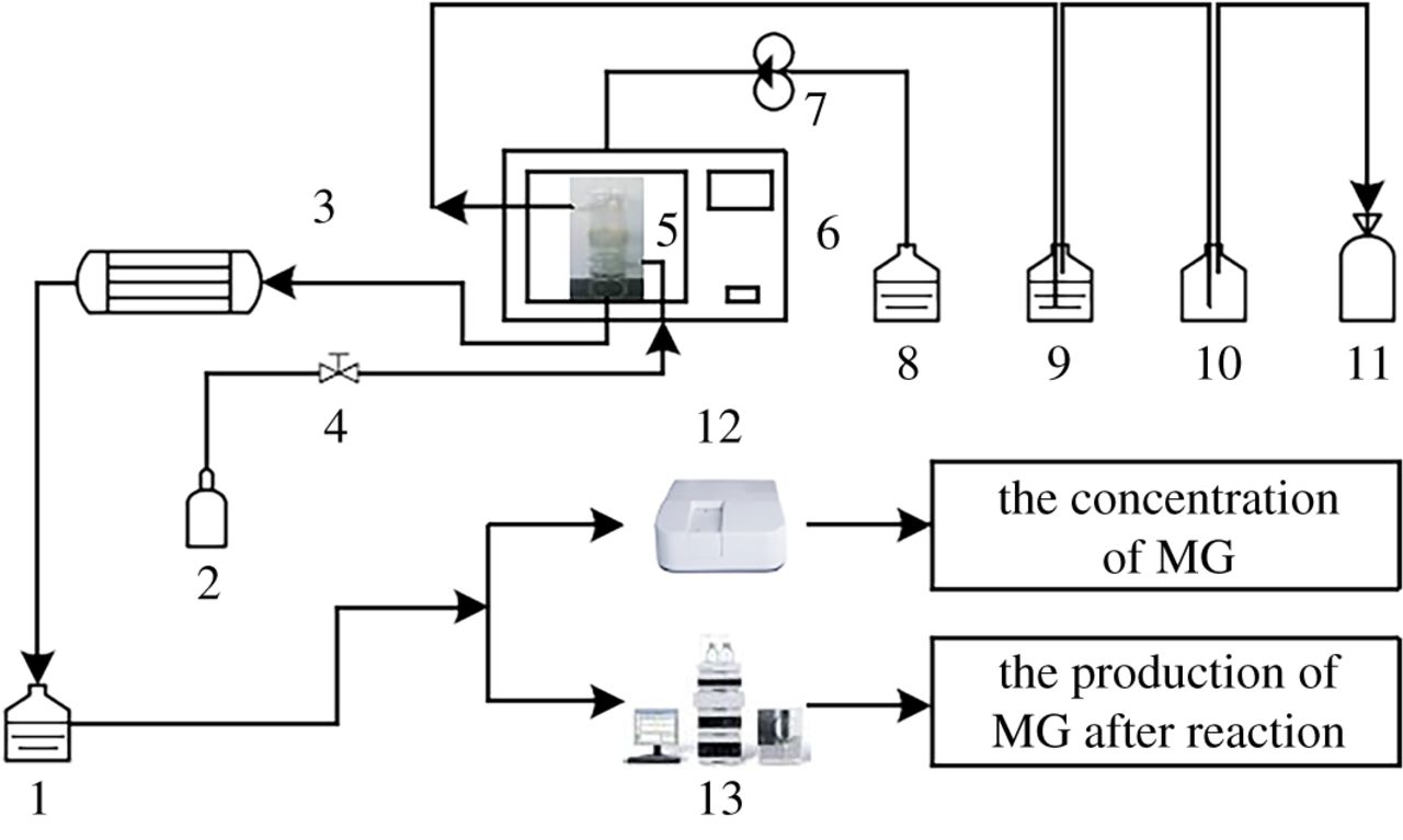 1280x767 Microwave Degradation Of Malachite Green Open Science - Microwave Sketch