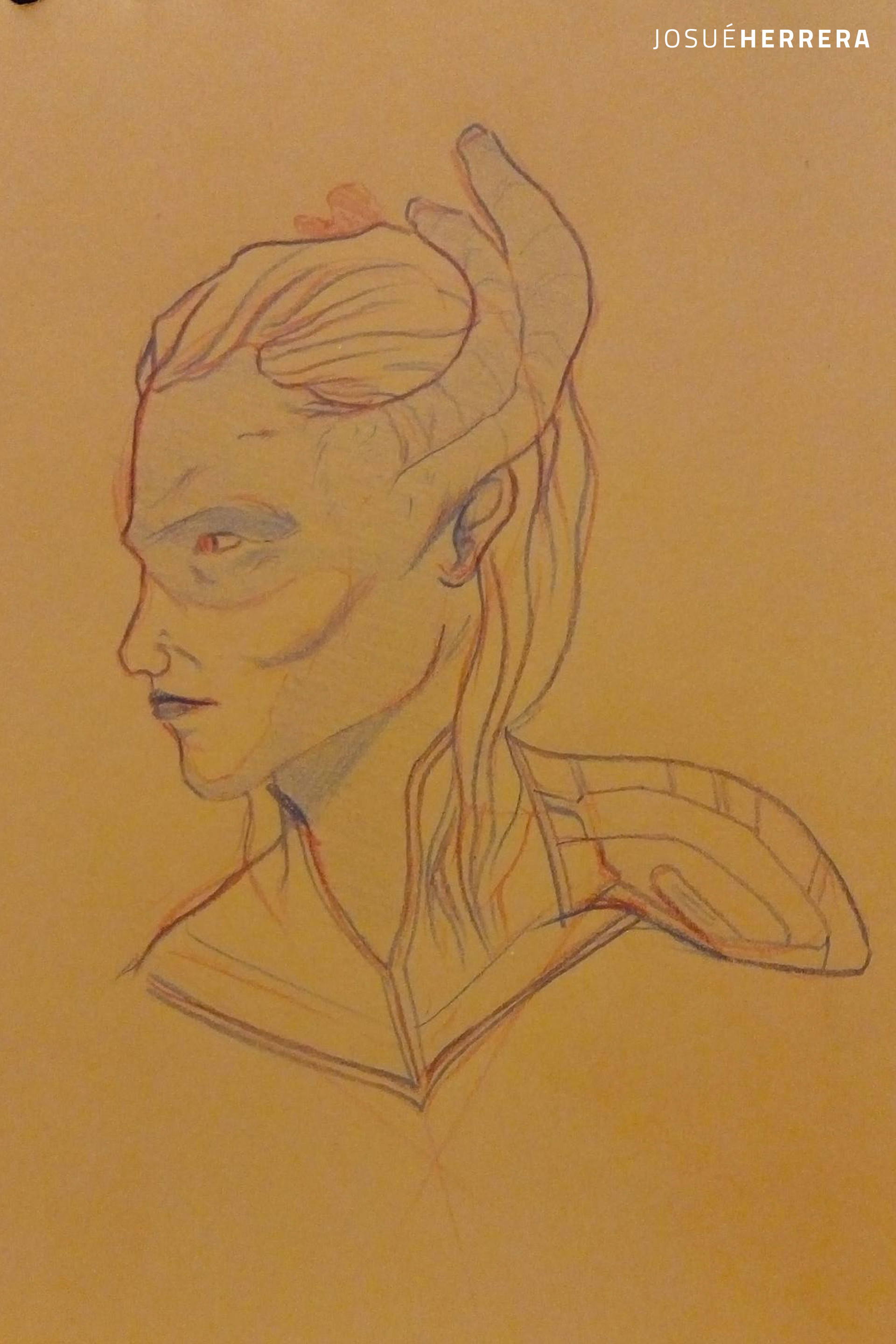 1920x2880 Herrera - Midnight Sketch