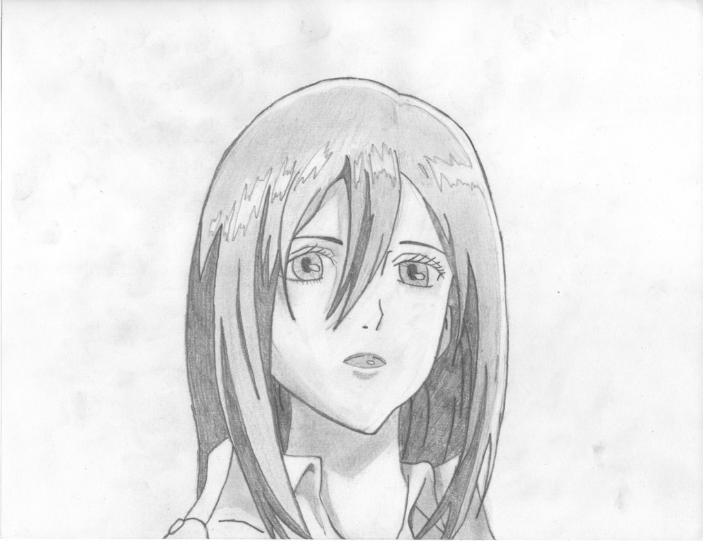 1018x784 Mikasa - Mikasa Sketch