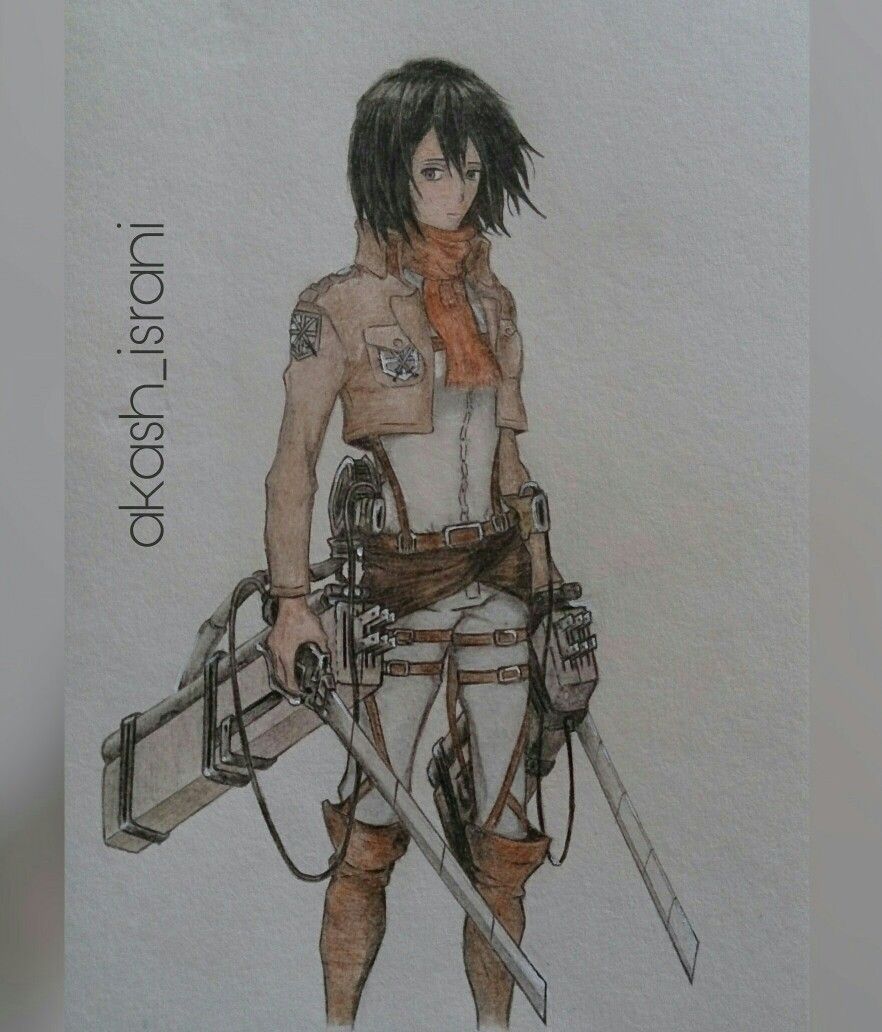 882x1032 Mikasa Ackerman From Attack On Titan Anime 97 Sketches - Mikasa Sketch