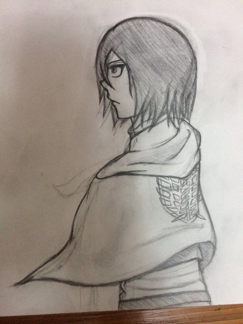 Mikasa Sketch at PaintingValley.com | Explore collection of Mikasa Sketch