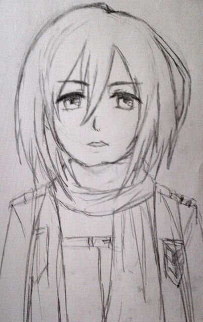 Mikasa Sketch at PaintingValley.com | Explore collection of Mikasa Sketch