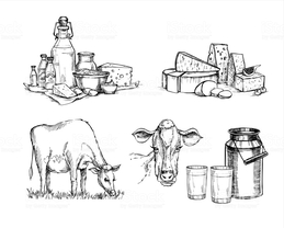 259x208 Download Milk Clipart Milk Gouda Cheese Sketch Milk,sketch - Milk Sketch