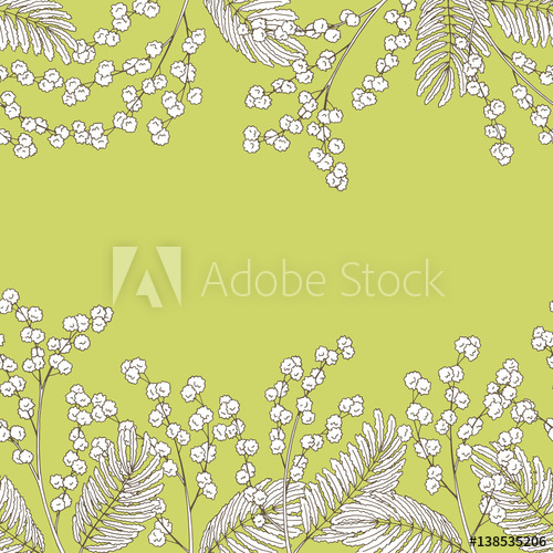 500x500 Mimosa Graphic Green Sketch Seamless Background Illustration - Mimosa Sketch