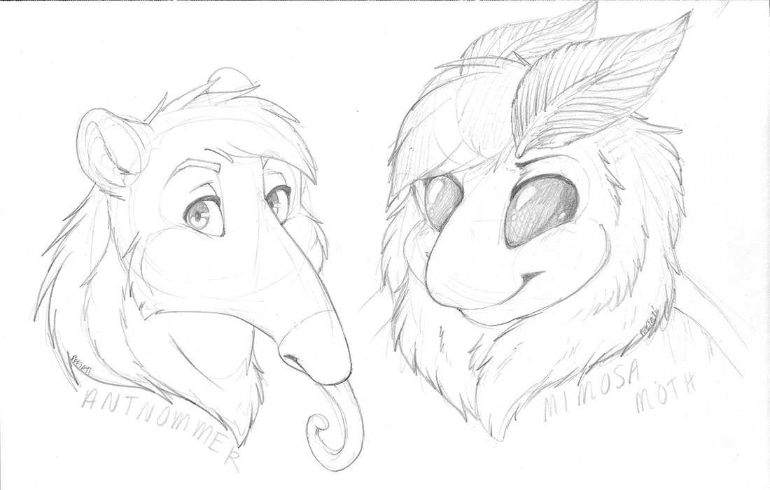 1100x700 Sketches By Pj Stormtail By Mimosamoth - Mimosa Sketch