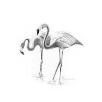 208x208 Royal (Art Supplies) . Roy Flamingo Mini Sketch Kit - Mini Sketch