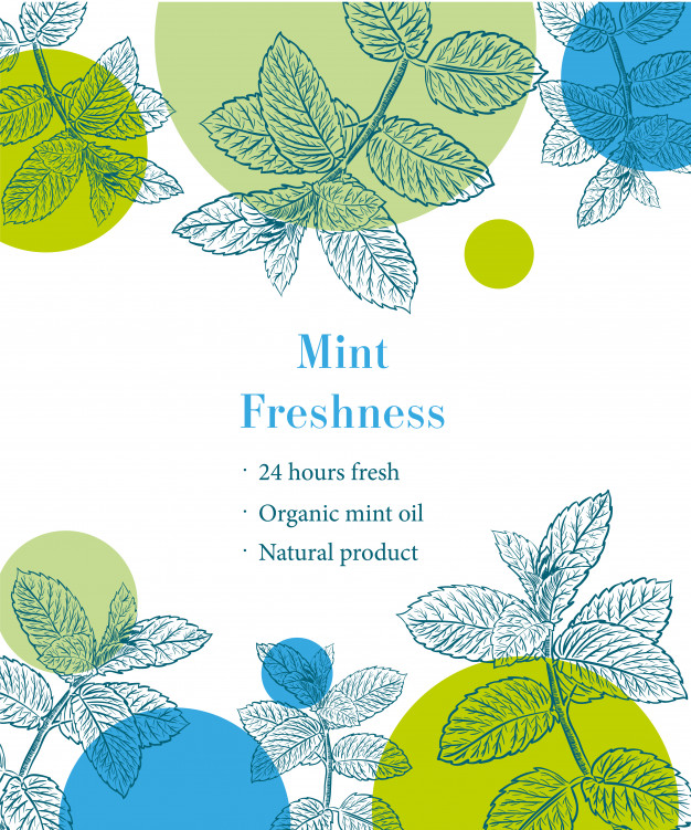 626x751 Mint Freshness Sketch Template Vector Premium Download - Mint Sketch