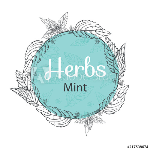 500x500 Vector Hand Drawn Round Frame With Mint Leaves, Herbs . Mint Hand - Mint Sketch