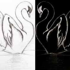 236x236 Creative Circle Abstract Vector Logo Design Template Art - Mirror Reflection Sketch