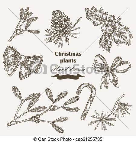 450x470 Hand Drawn Christmas Plants Mistletoe And Holly. Christmas Design - Mistletoe Sketch