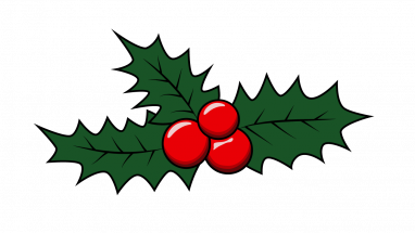 382x215 How To Draw Mistletoe, Christmas, Holidays, Easy Step By Step - Mistletoe Sketch