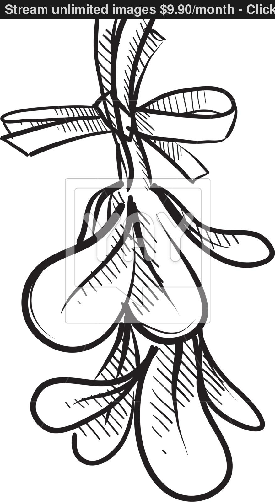876x1600 Mistletoe Sketch Vector - Mistletoe Sketch