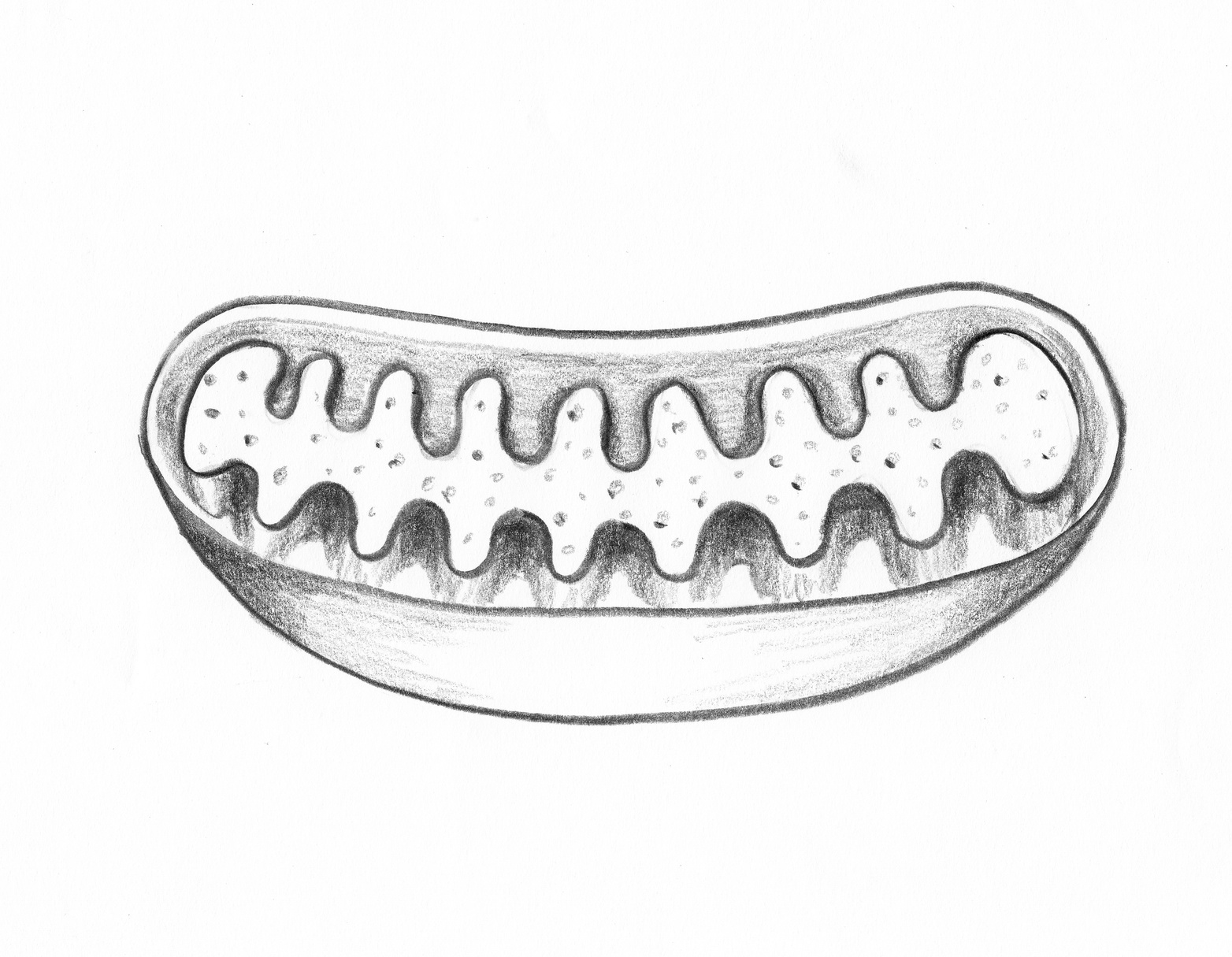 1564x1215 Nadh Review Like An On Switch For Brain Energy - Mitochondria Sketch