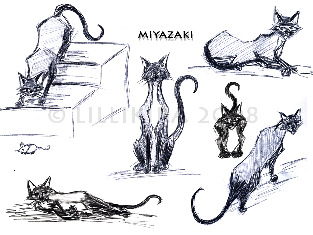 1024x768 Miyazaki Sketches By Lillikira - Miyazaki Sketches