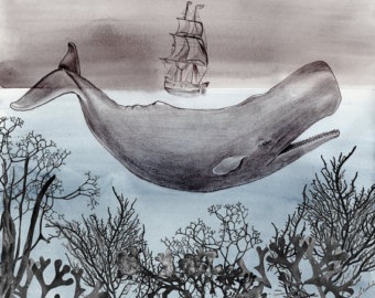 340x270 Moby Dick Poeticamentelino - Moby Dick Sketch