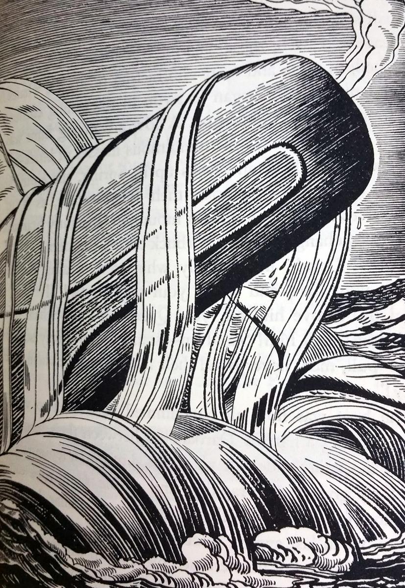 827x1200 Moby Dick. Raptis Rare Books - Moby Dick Sketch