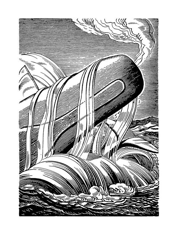 570x760 Poster Moby Dick Engraving Of Rockwell Kent 1930 Fine Etsy - Moby Dick Sketch