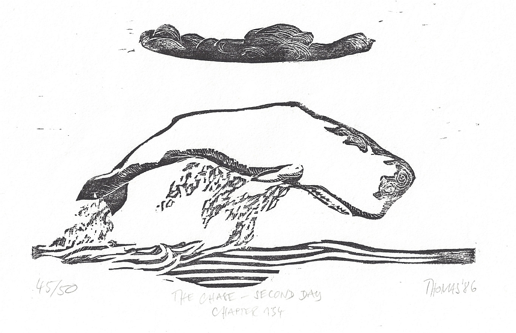 1024x662 Thomas Van Der Linde Fine Arts - Moby Dick Sketch