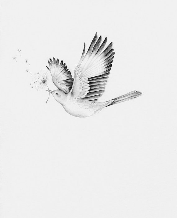 570x704 Custom Artwork Personalized Pencil Drawing Commissioned Fine Art - Mockingbird Sketch