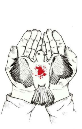 288x450 How To Kill A Mockingbird - Mockingbird Sketch