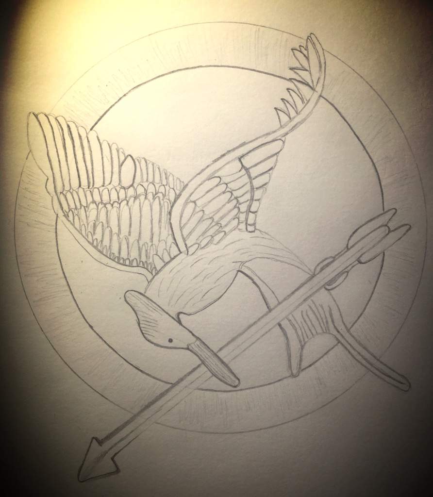 892x1024 Mockingjay Pin The Hunger Games Amino - Mockingjay Pin Sketch