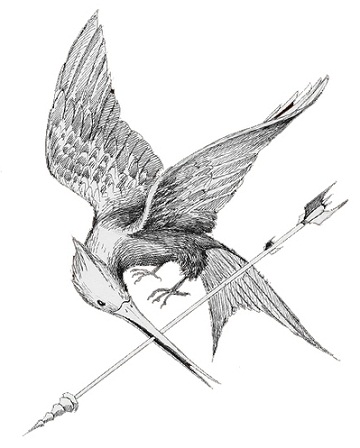 360x448 Image - Mockingjay Sketch