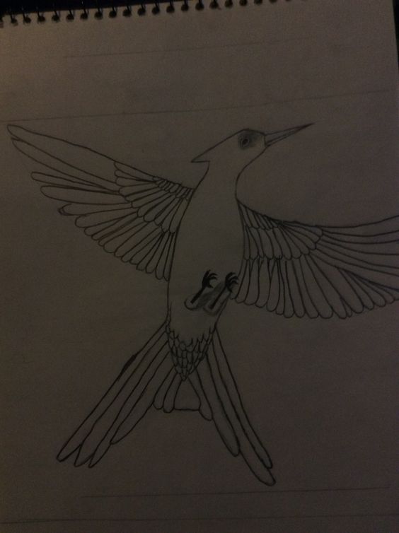 564x754 My Edited Mockingjay Sketch Drawings Mockingjay - Mockingjay Sketch