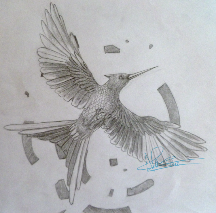 750x741 The Mockingjay Mockingjay By Ninitel - Mockingjay Sketch