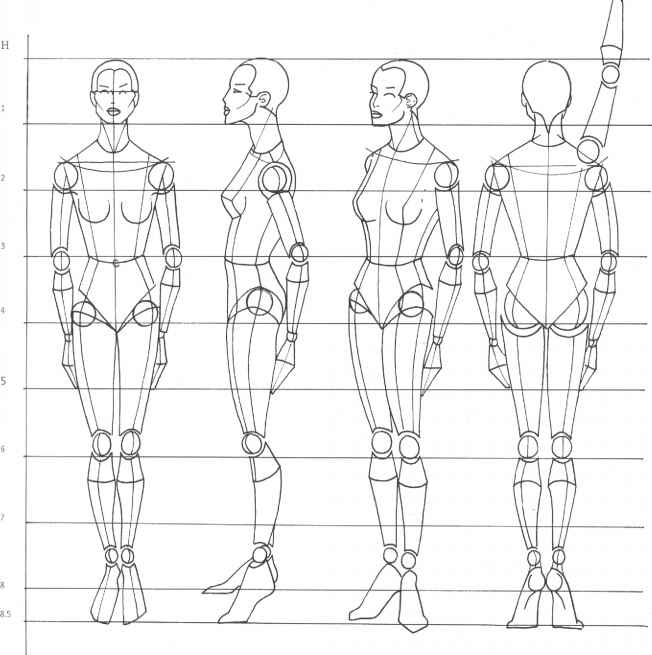 652x655 Rule Of Proportion The Human Body - Model Body Sketch