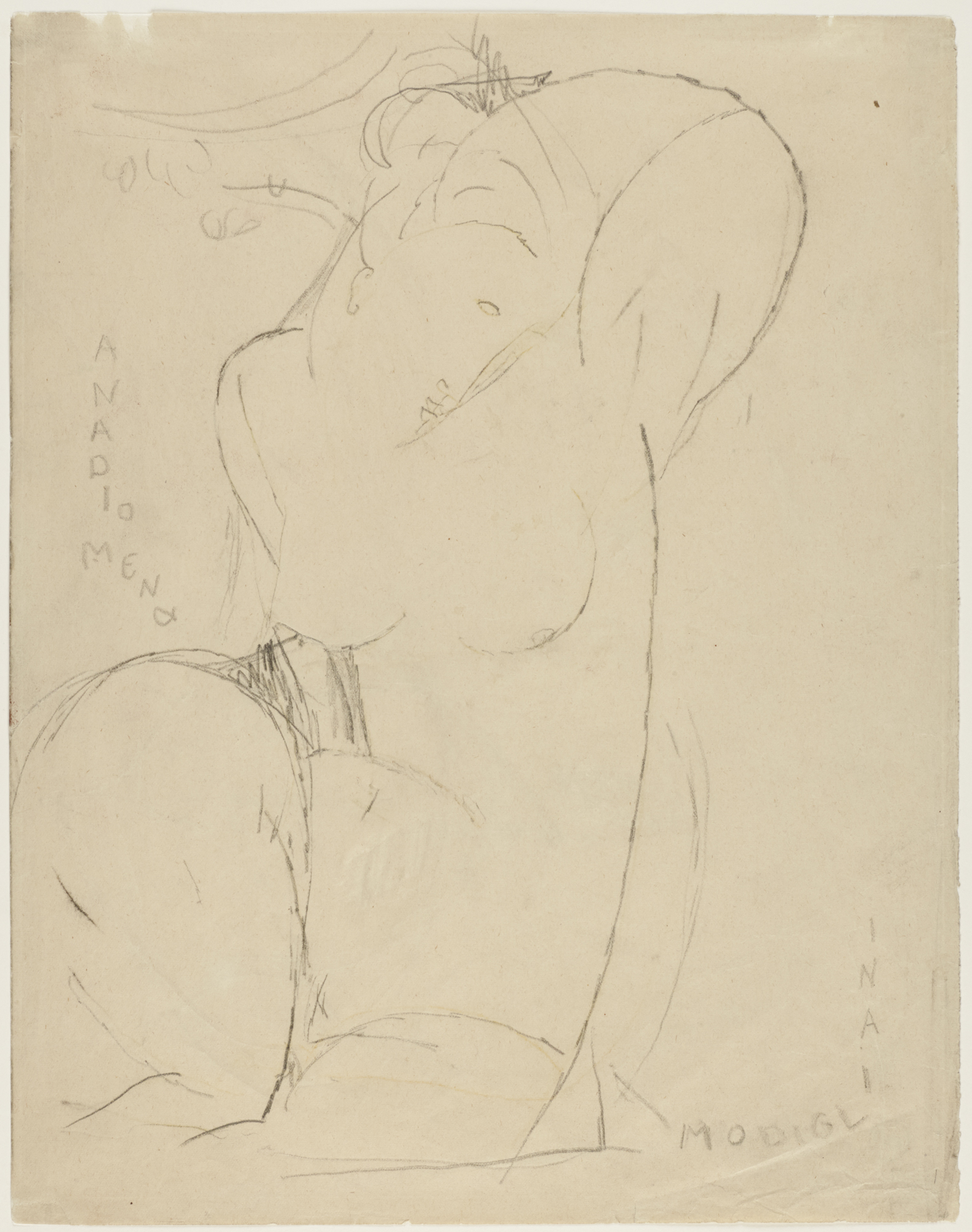 1579x2000 In Depth 500 Years Of Italian Master Drawings From The Princeton - Modigliani Sketches