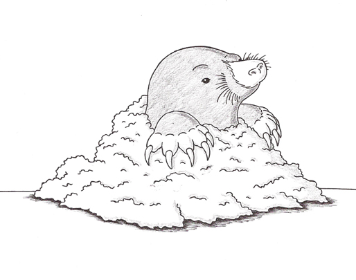 514x405 Mole Creativeliz - Mole Sketch